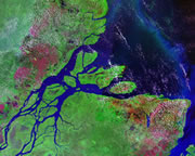 Amazon delta
