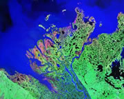 Arctic delta satellite image