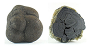 Manganese nodules