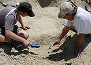 Largest marine bone deposit