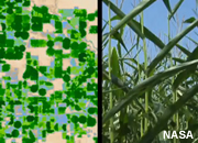 Monitoring water use from space