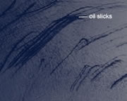 Oil seeps