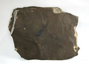 Oil shale