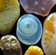 sand grains