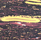 coal through a microscope