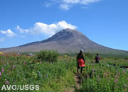forecasting eruptions