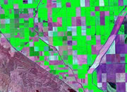 California groundwater losses