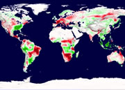 plant productivity map