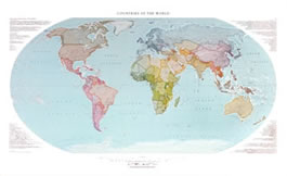 World Wall Map